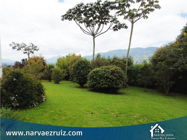 place photo 63