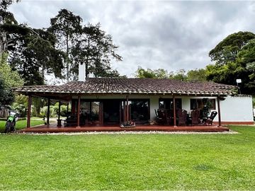 place photo 61