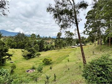 place photo 63