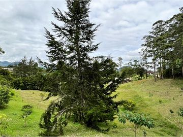 place photo 49