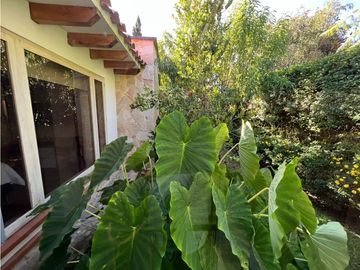 place photo 44