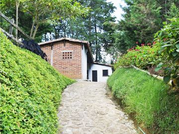place photo 47