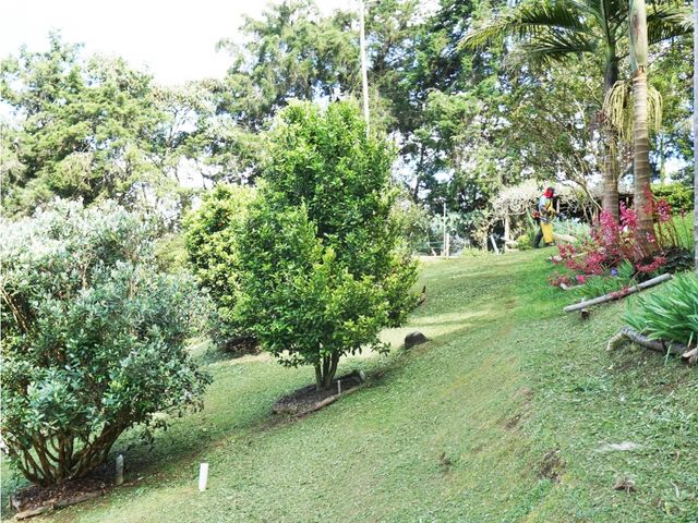 place photo 50