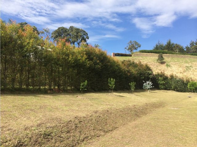 place photo 65
