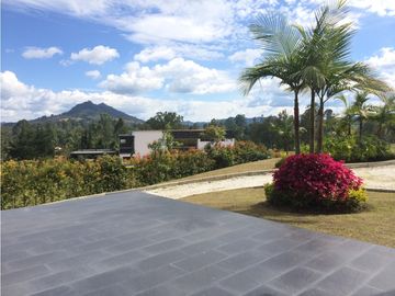 place photo 62