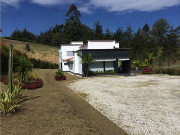 place photo 66