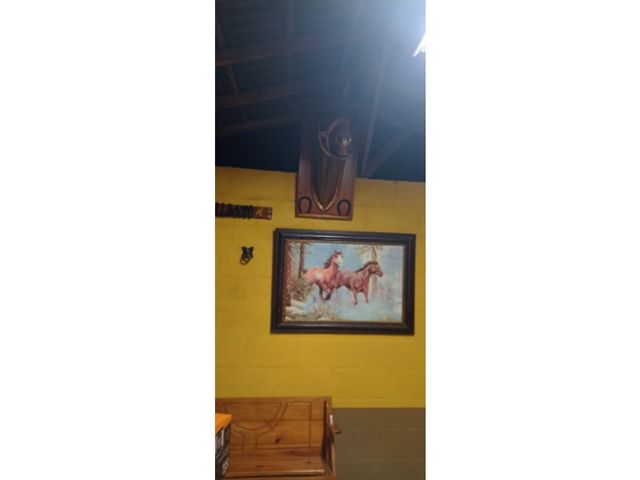 place photo 58