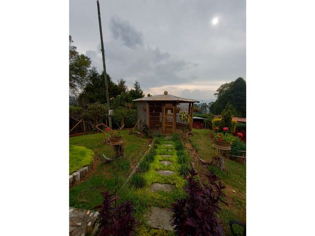 place photo 38