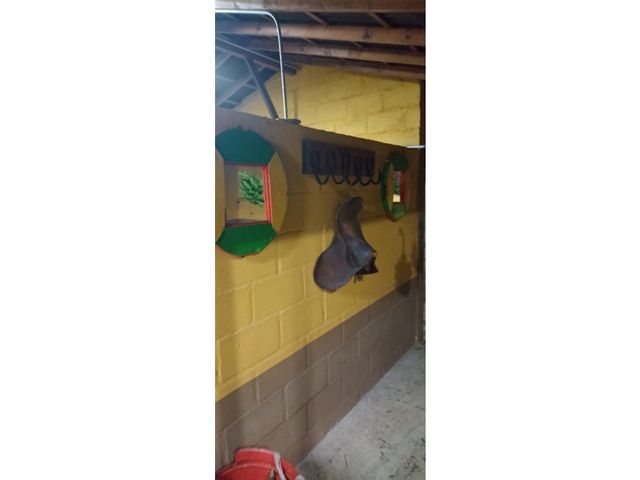 place photo 53