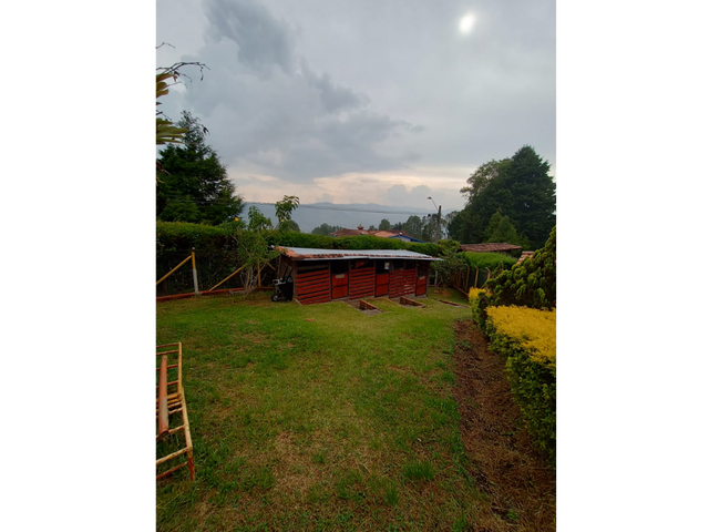 place photo 46