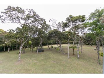 place photo 61