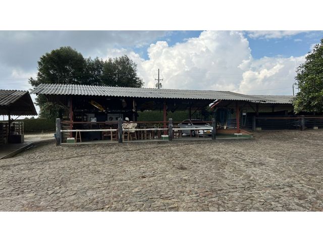 place photo 37