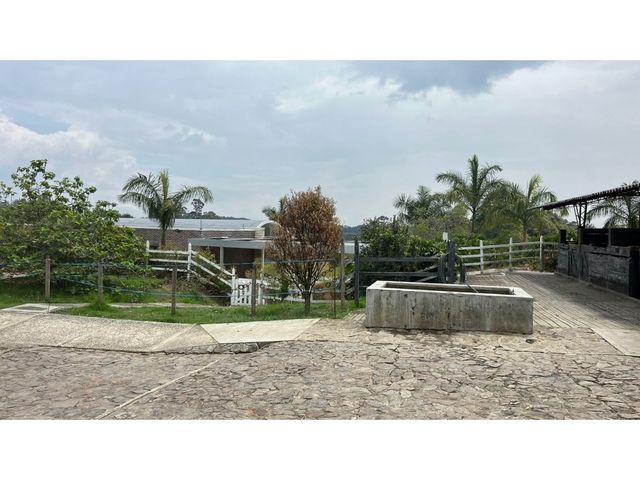 place photo 42