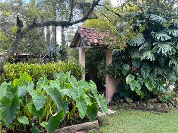 place photo 48