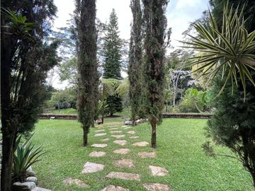 place photo 58
