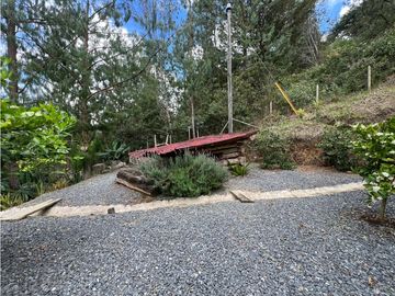 place photo 60