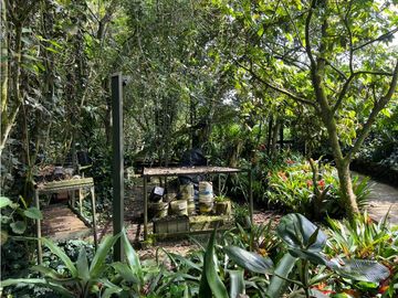 place photo 44