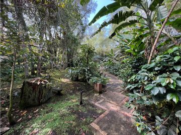 place photo 46