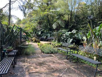 place photo 43