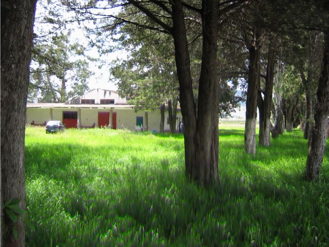 place photo 16