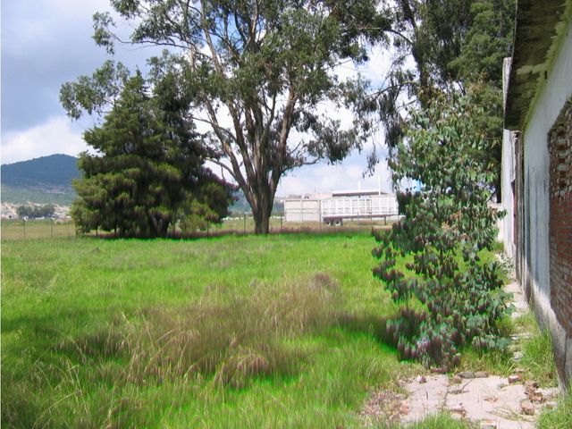 place photo 9