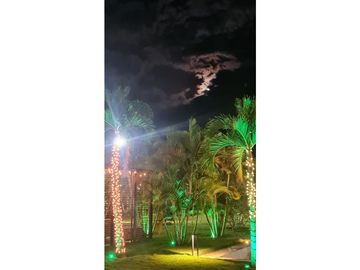 place photo 30