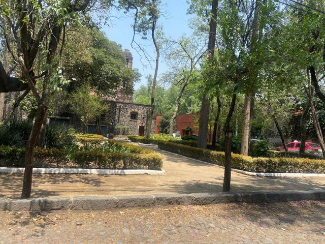 place photo 11