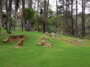 place photo 35