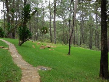 place photo 33