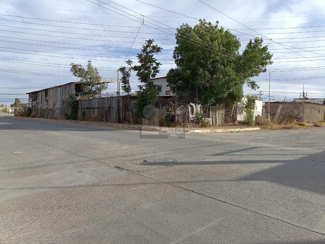 place photo 14