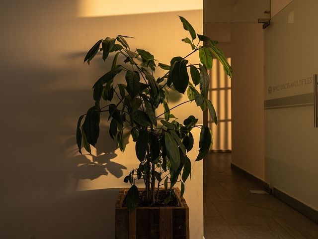 place photo 29