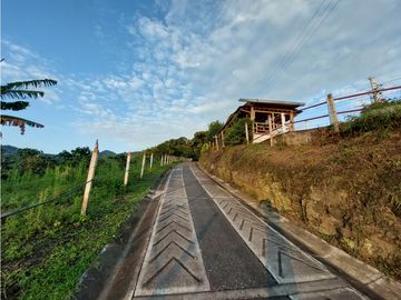 place photo 49
