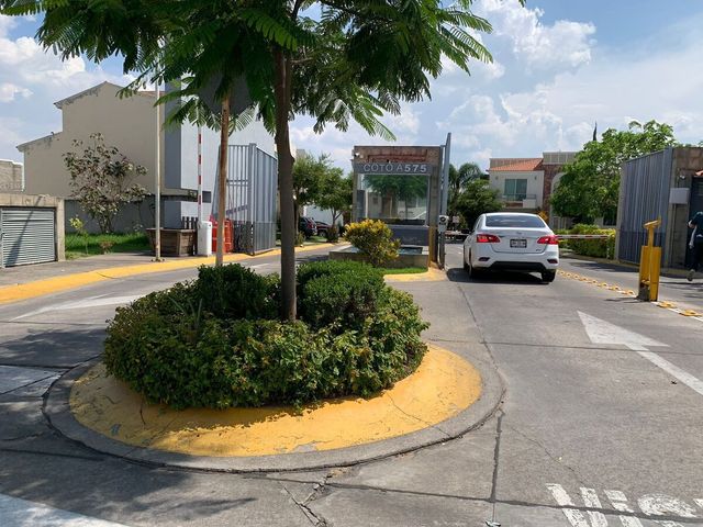 place photo 33