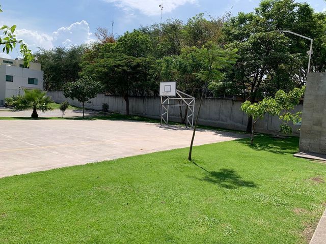 place photo 35