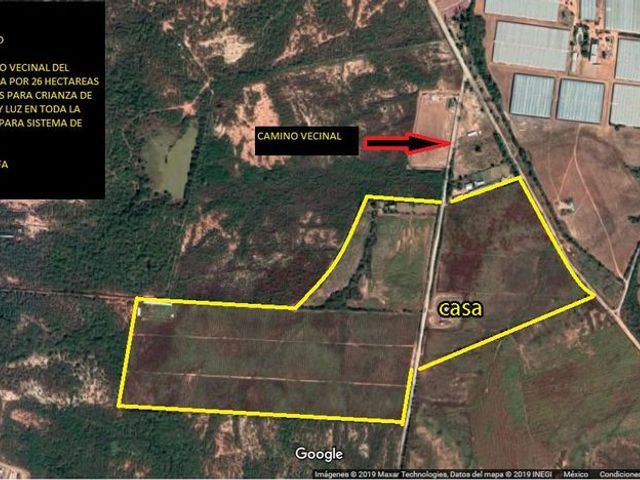 venta tierra agricola mojolo