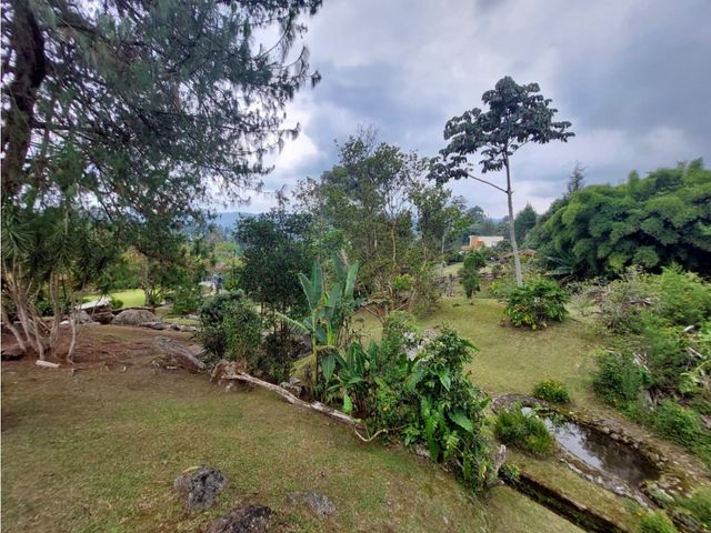 place photo 52