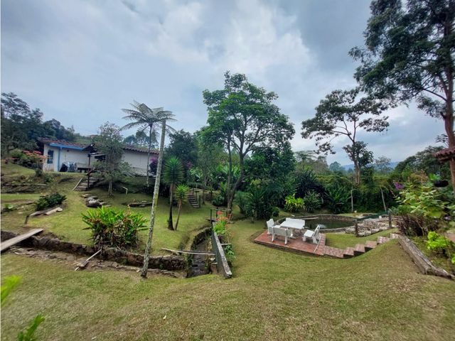 place photo 46