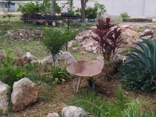 place photo 5