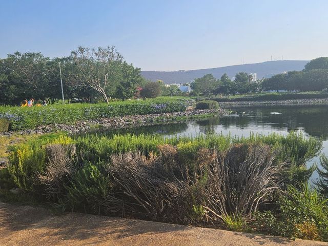 place photo 19