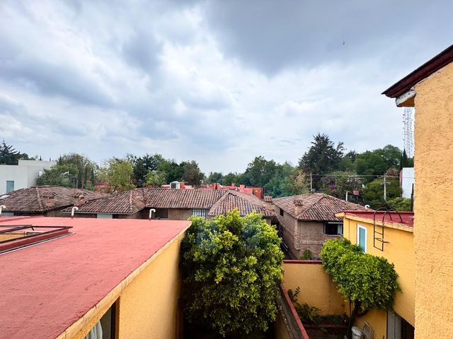 place photo 35