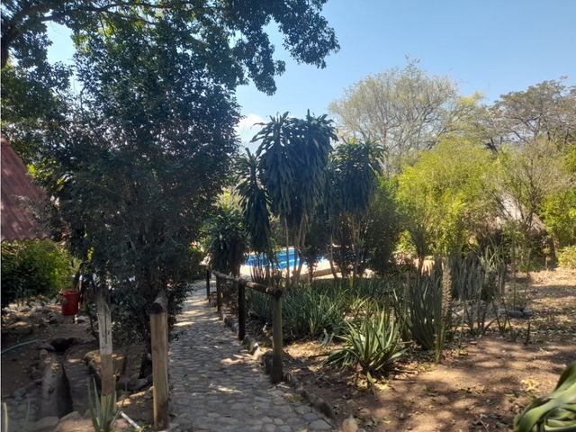 place photo 27
