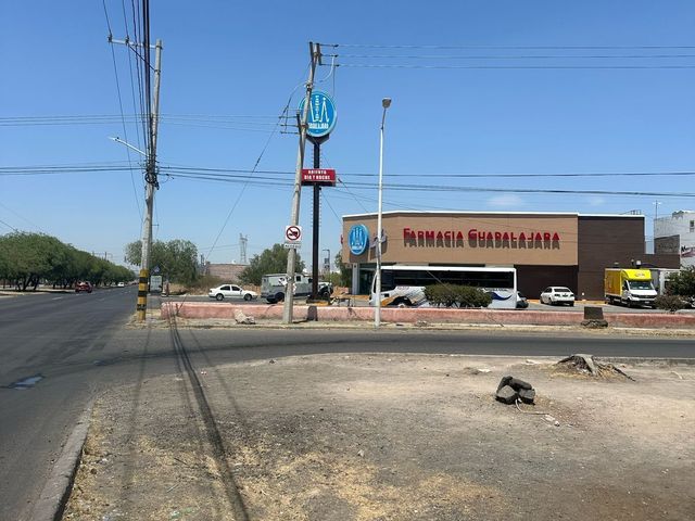place photo 16