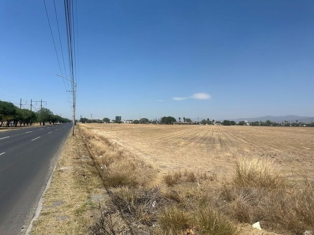place photo 42