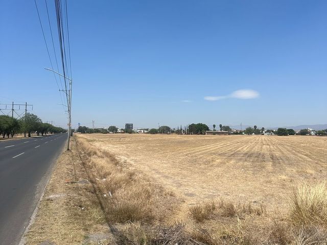 place photo 40