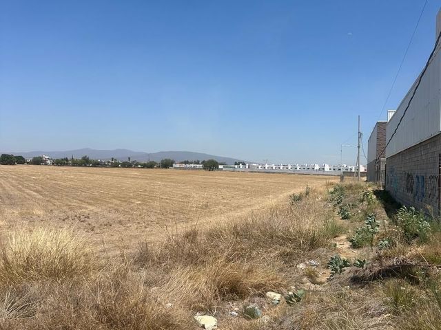 place photo 38