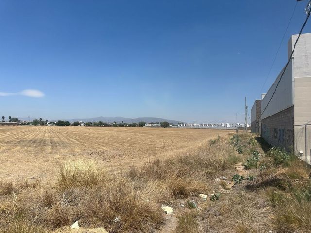 place photo 41