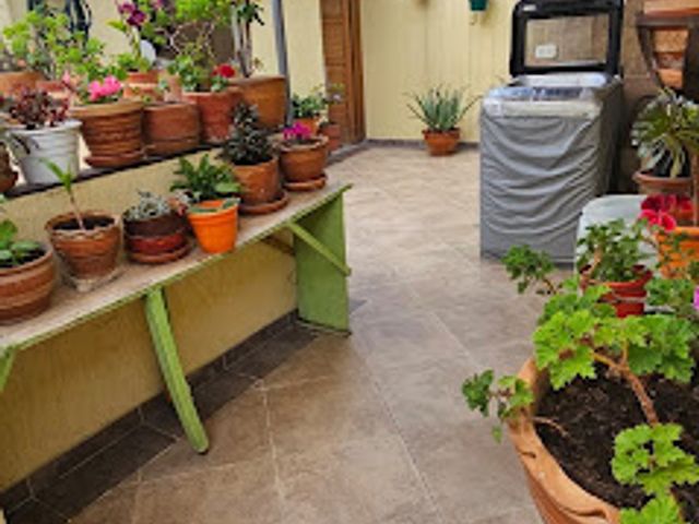 place photo 19