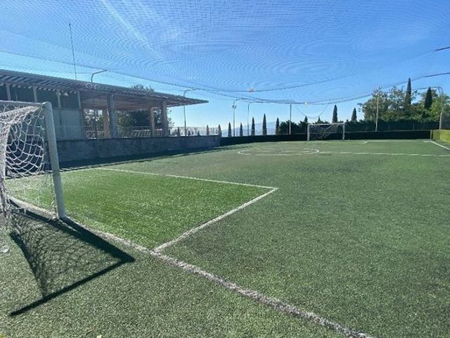place photo 24