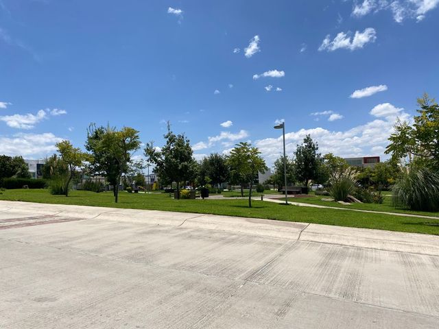 place photo 36
