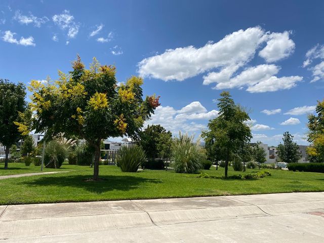 place photo 38